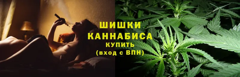 Марихуана OG Kush  Зея 